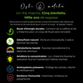 Charger l'image dans la visionneuse de la galerie, Thé matcha de cérémonie Okumidori BIO - Oshi Matcha