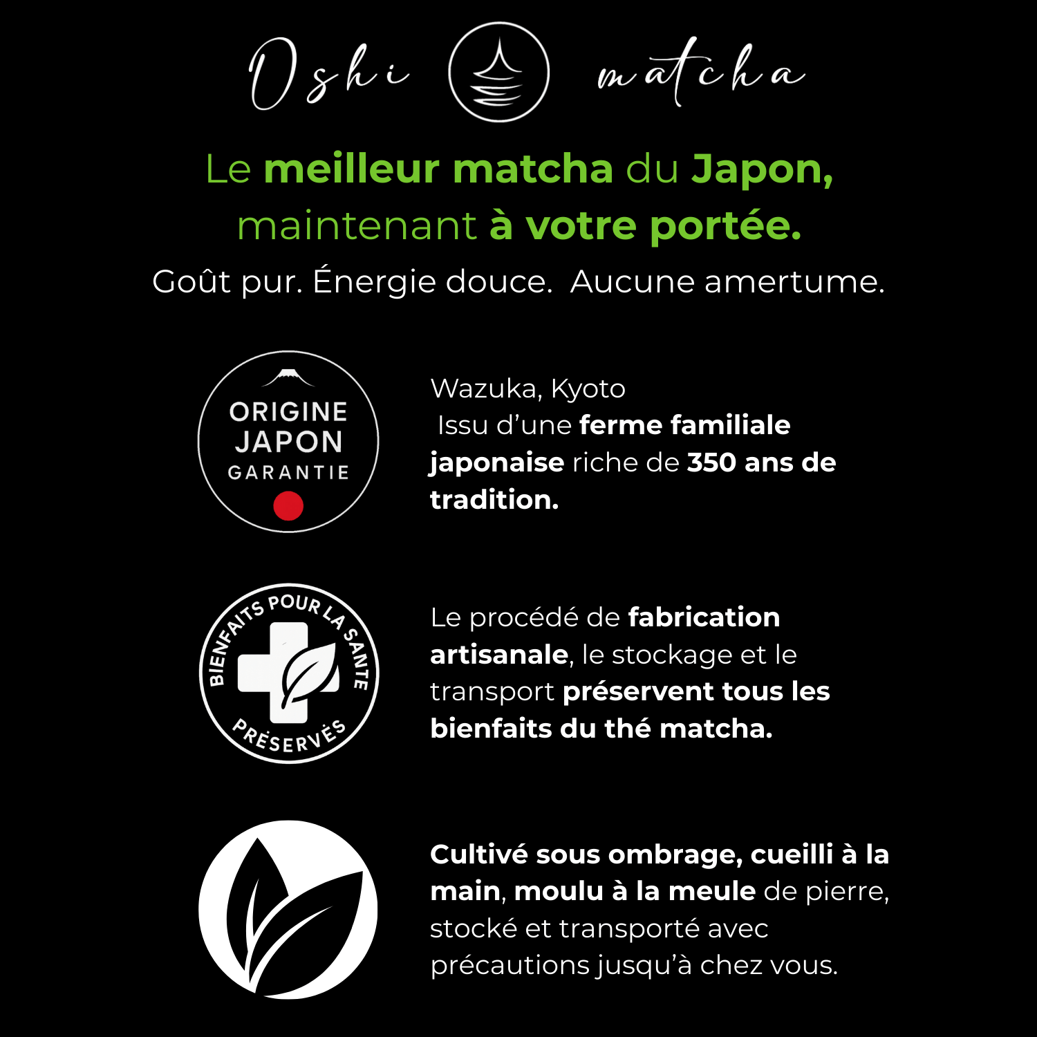 Thé matcha de cérémonie Okumidori BIO - Oshi Matcha