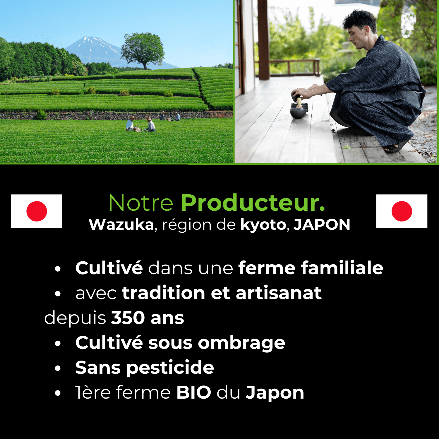 Thé matcha de cérémonie Okumidori BIO - Oshi Matcha