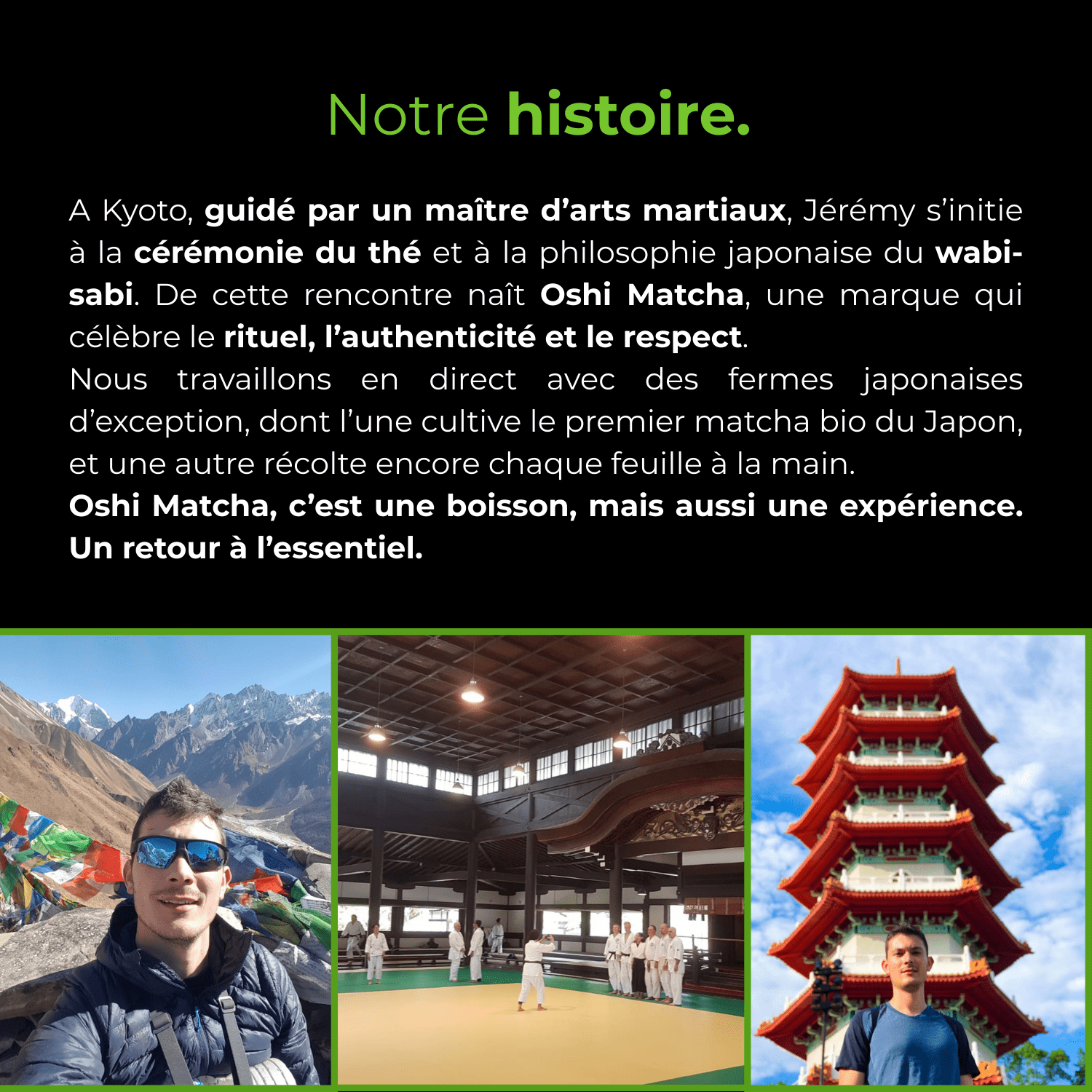Thé matcha de cérémonie Okumidori BIO - Oshi Matcha