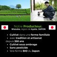 Charger l'image dans la visionneuse de la galerie, Thé Matcha premium Sayama BIO - Oshi Matcha